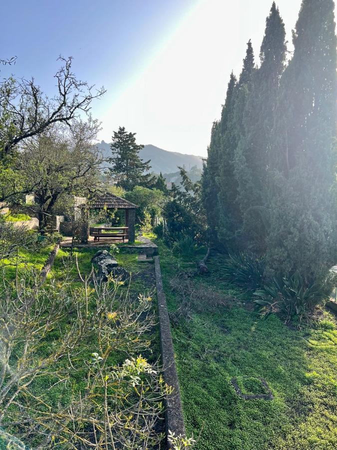 Casa La Veguetilla En San Mateo Вега де Сан Матео Екстериор снимка